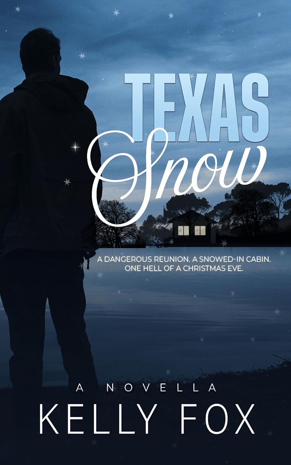 Texas Snow book cover