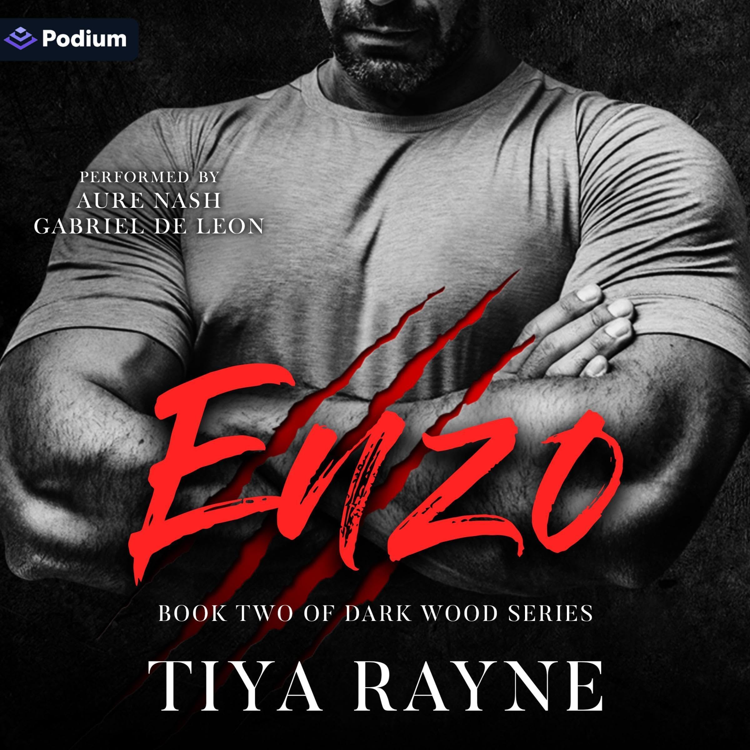 Enzo book cover