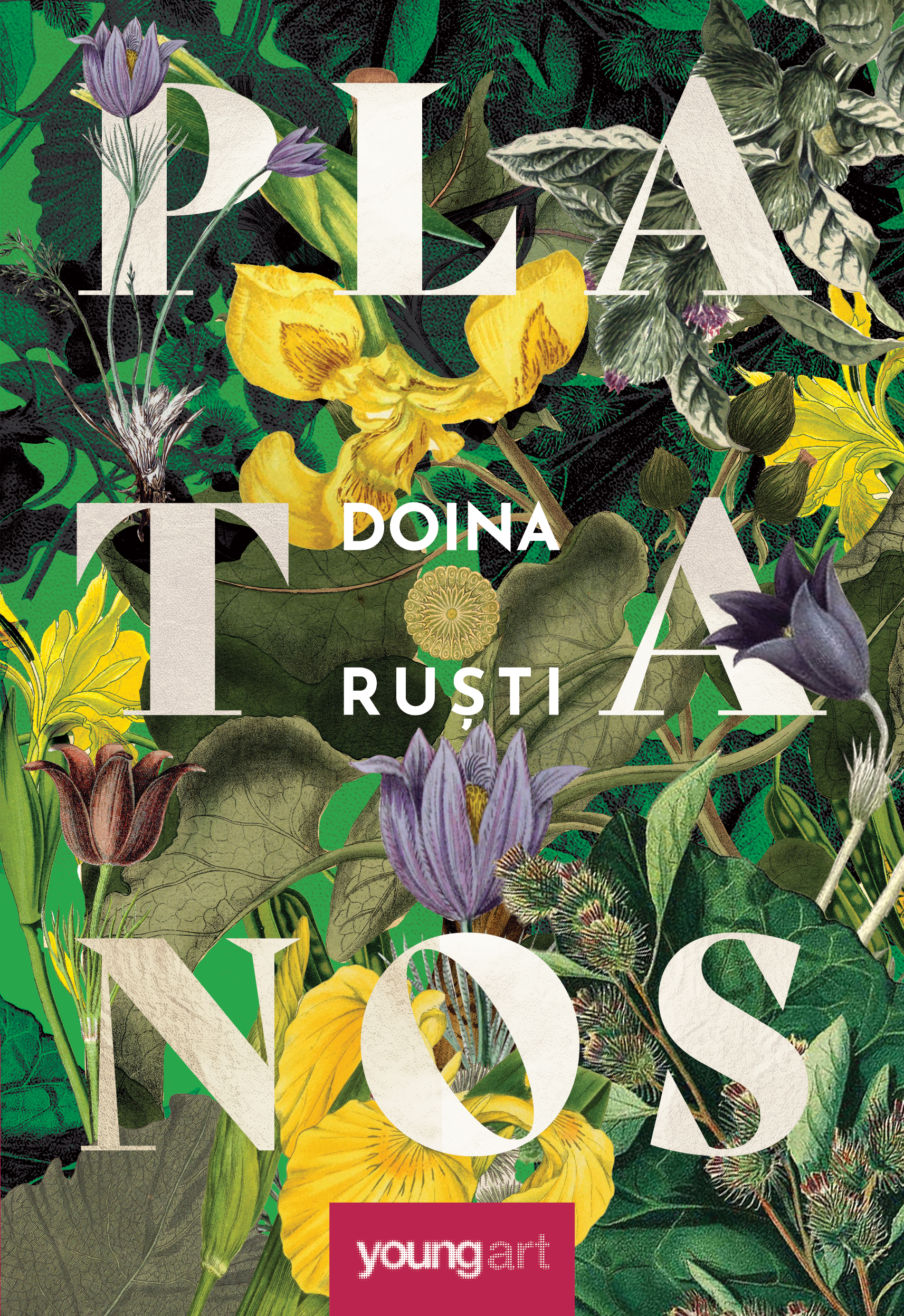 Platanos book cover