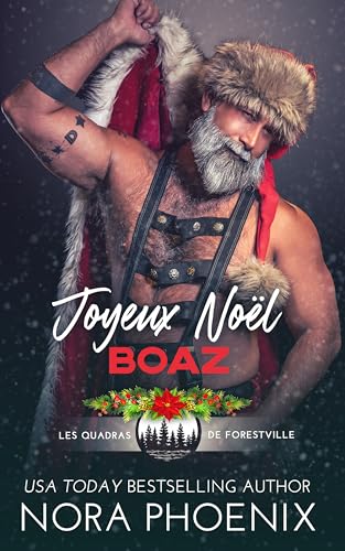 Joyeux Noël Boaz (Les Quadras de Forestville) book cover