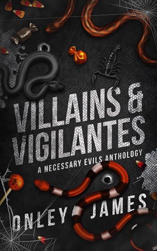 Villains & Vigilantes book cover