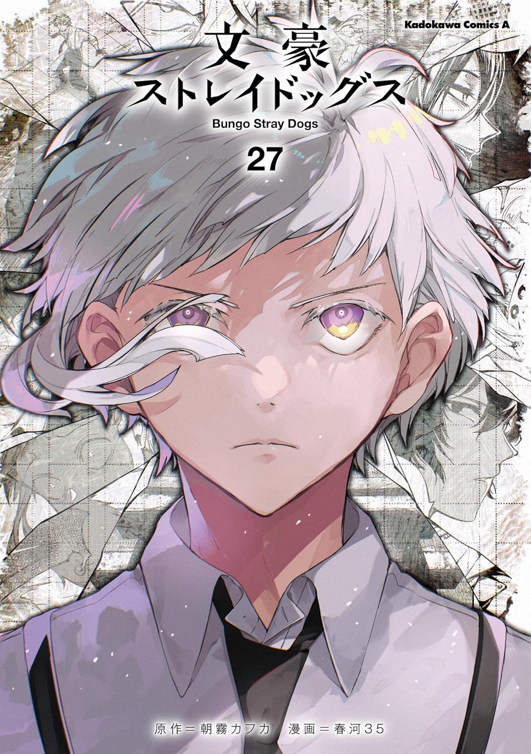 文豪ストレイドッグス 27 [Bungō Stray Dogs 27] book cover