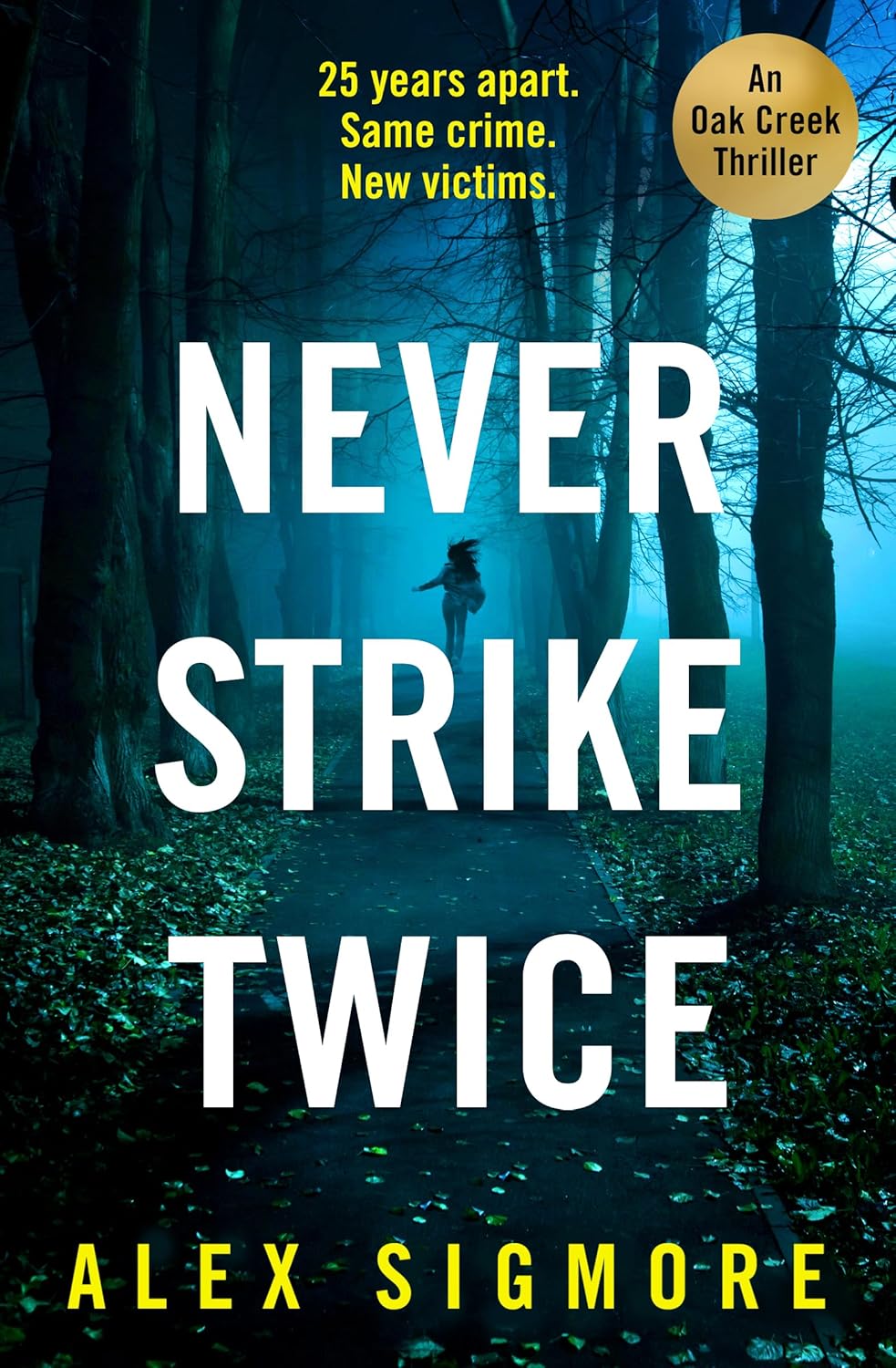 Never Strike Twice book cover