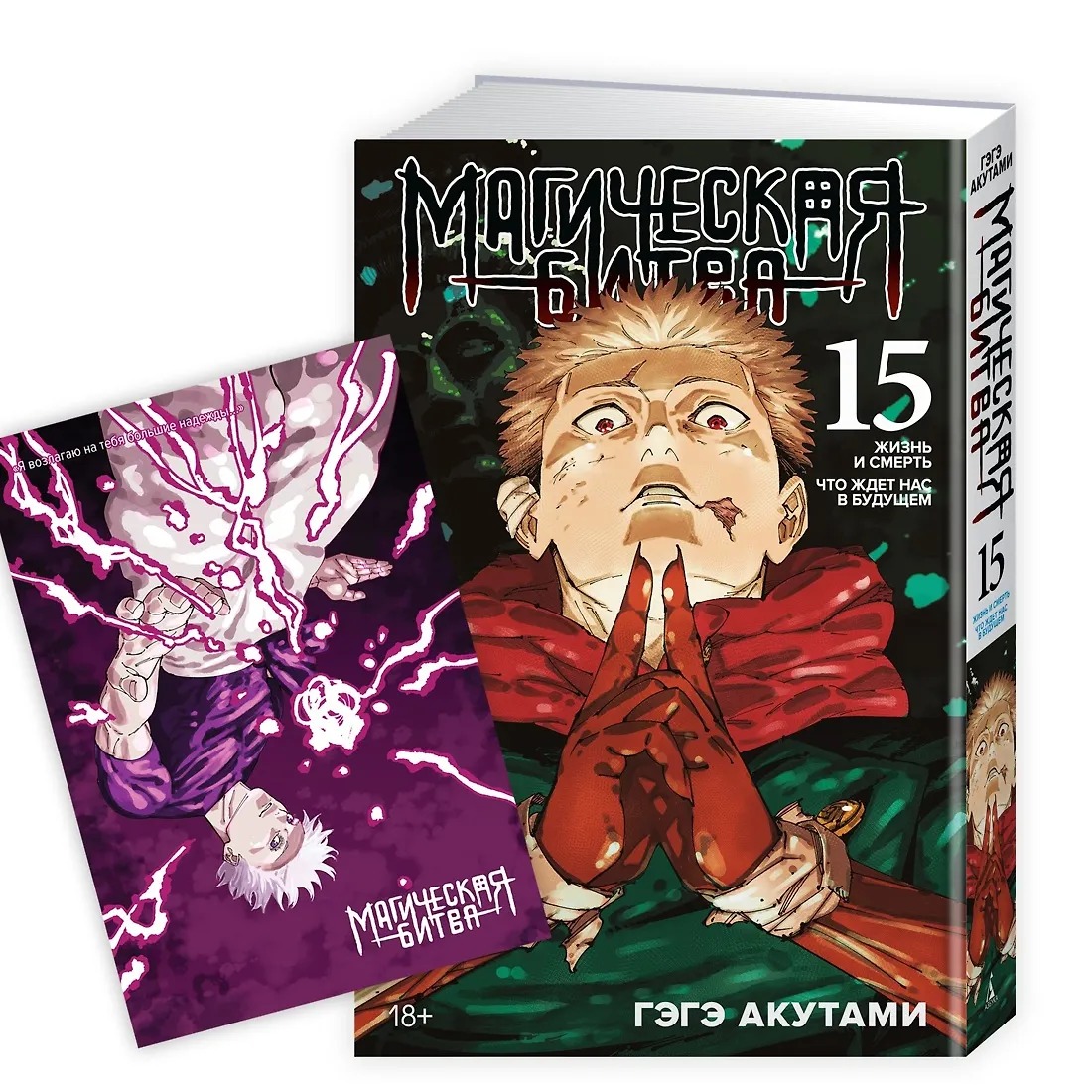 Магическая битва. Книга 15. Жизнь и смерть. Что ждет нас в будущем book cover