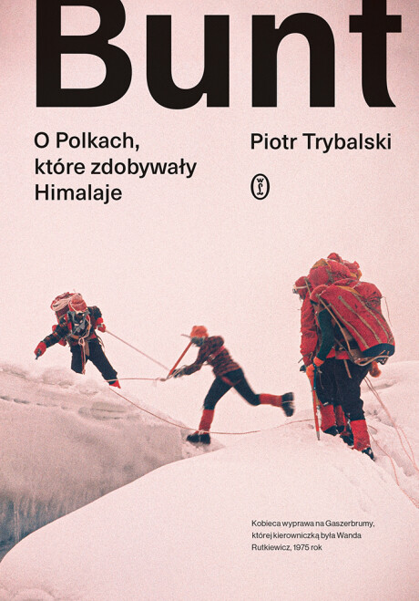 Bunt. O Polkach, które zdobywały Himalaje book cover