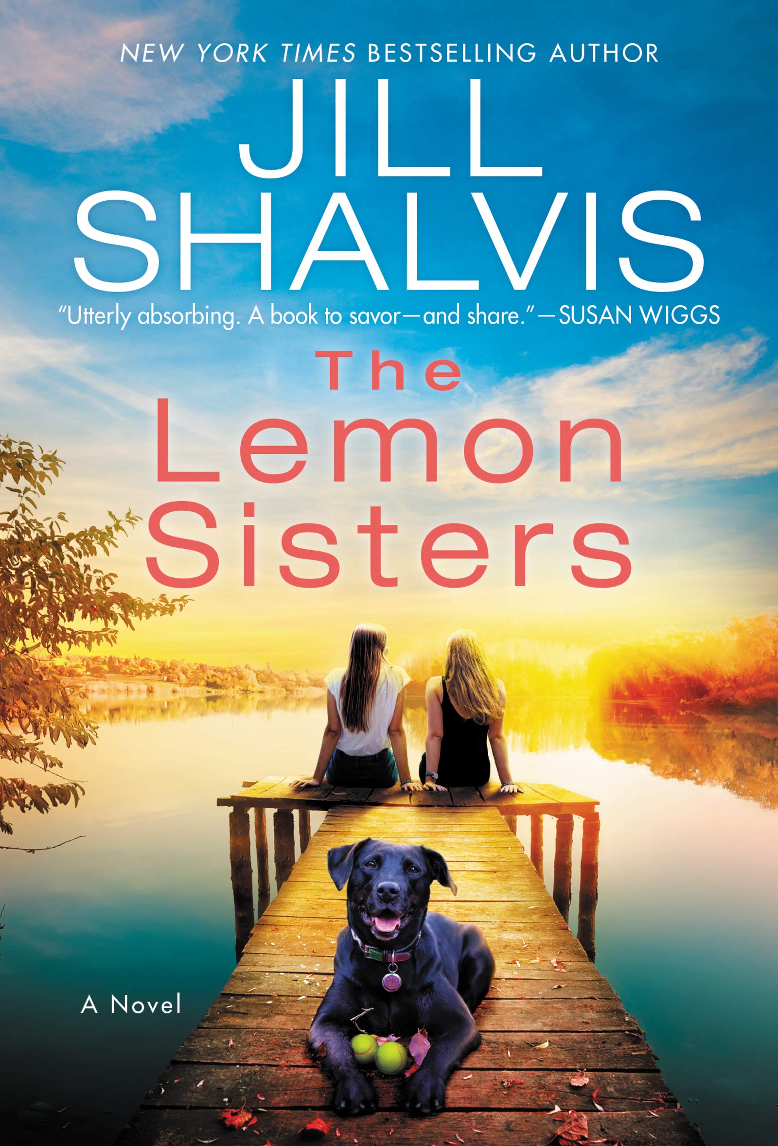 The Lemon Sisters book cover