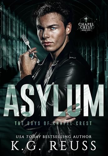 Asylum book cover