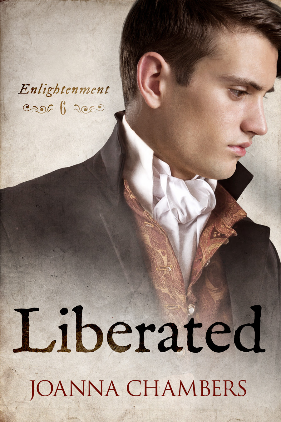 Liberated book cover