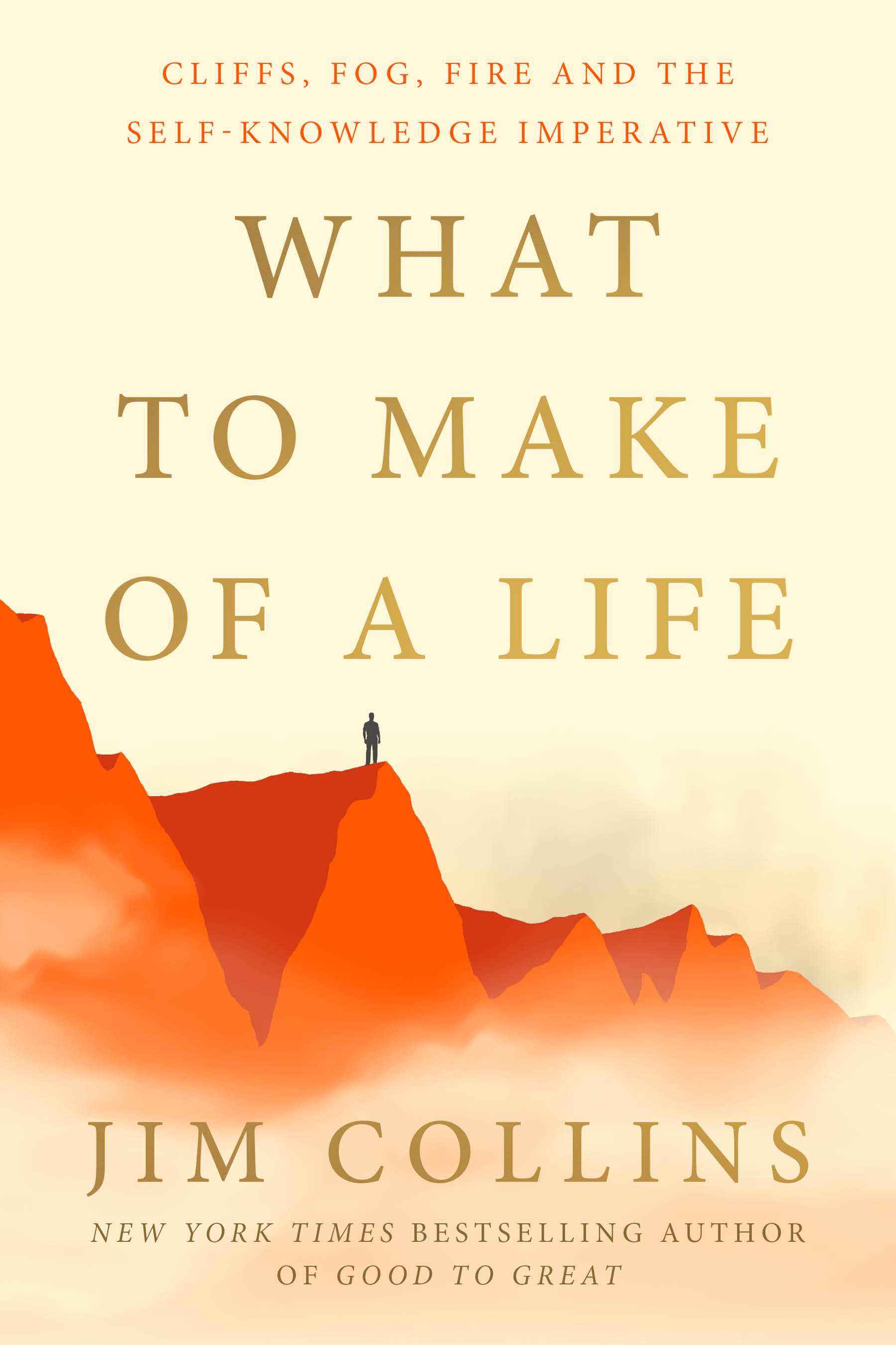 What to Make of a Life book cover