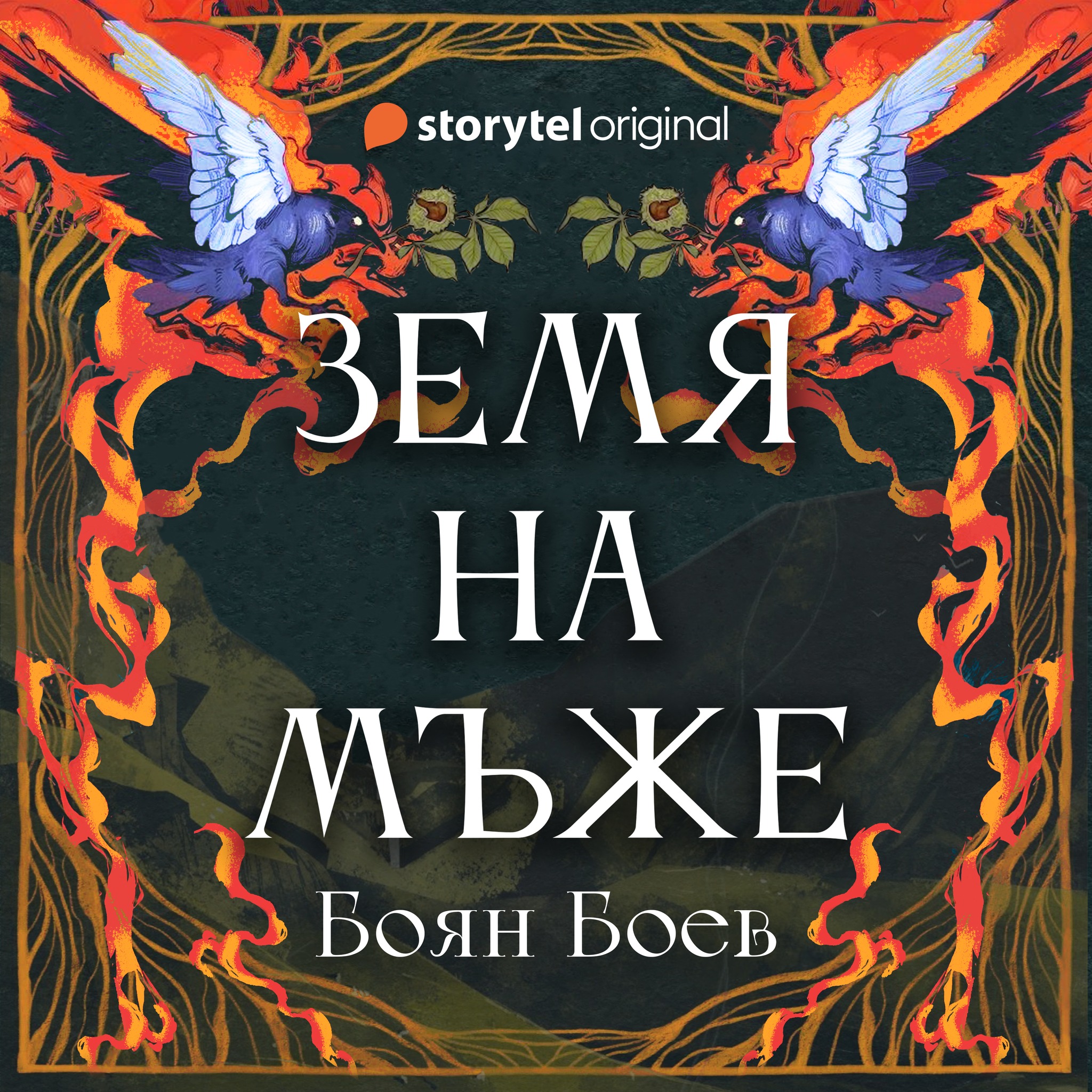 Земя на мъже book cover