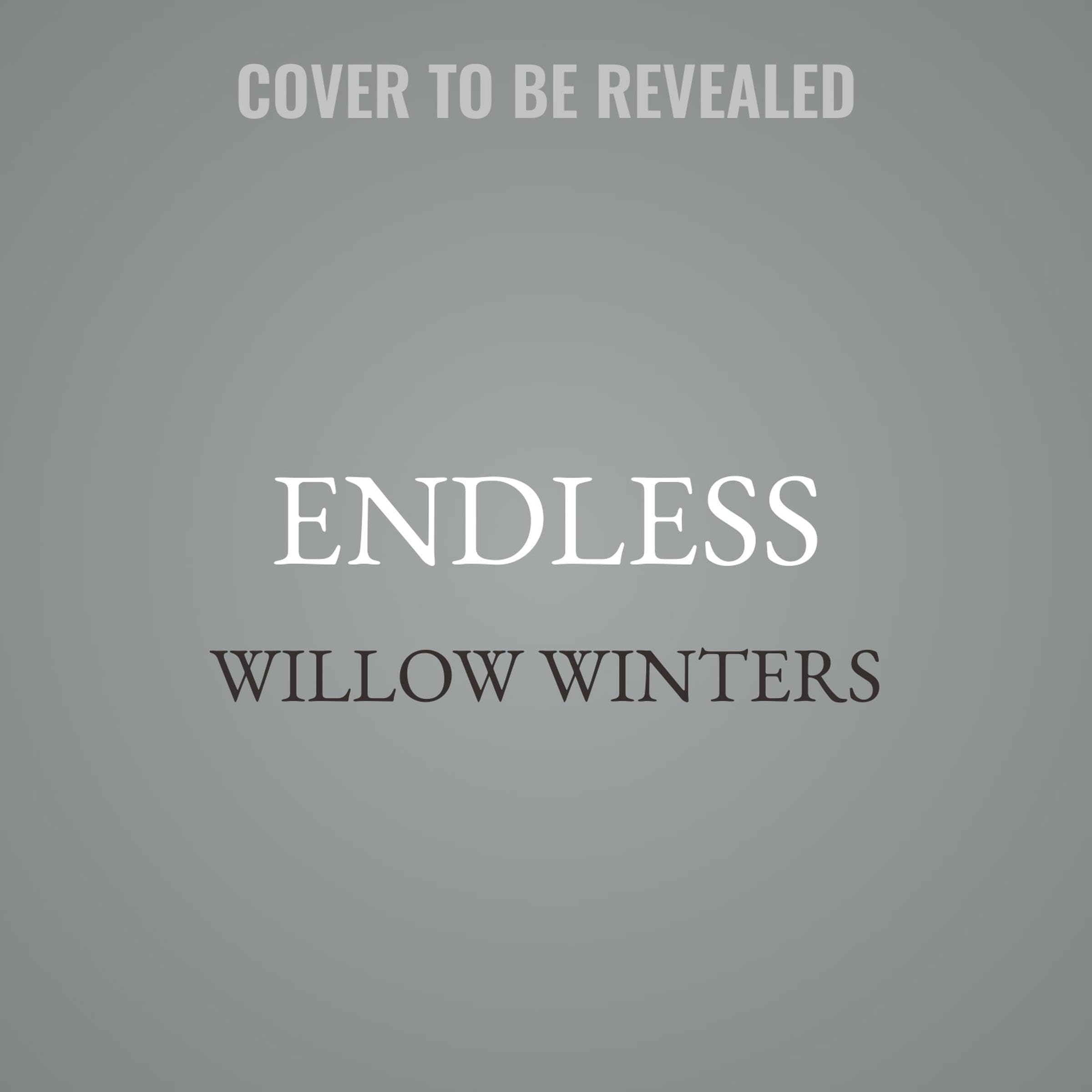 Endless book cover