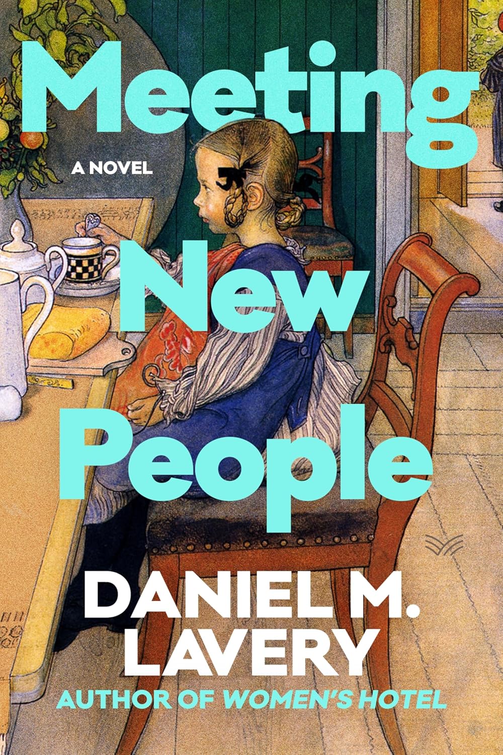 Meeting New People book cover