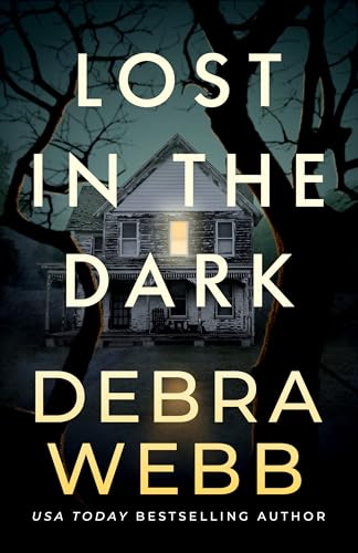 Lost in the Dark book cover
