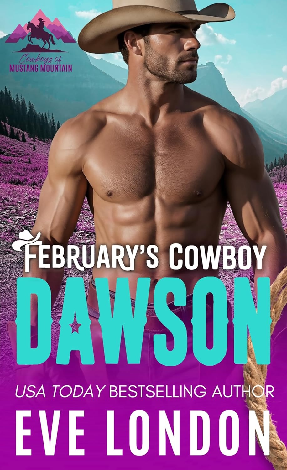 February's Cowboy Dawson book cover