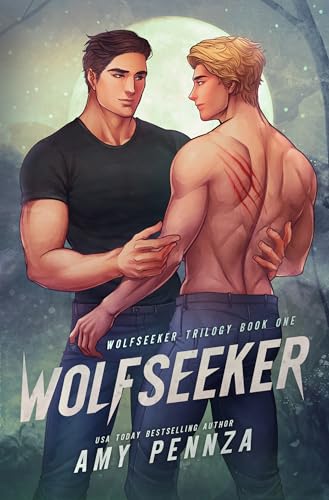 Wolfseeker book cover