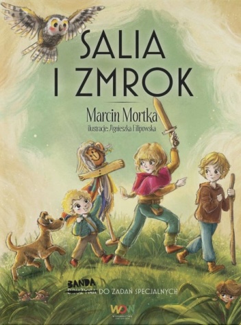 Salia i Zmrok book cover