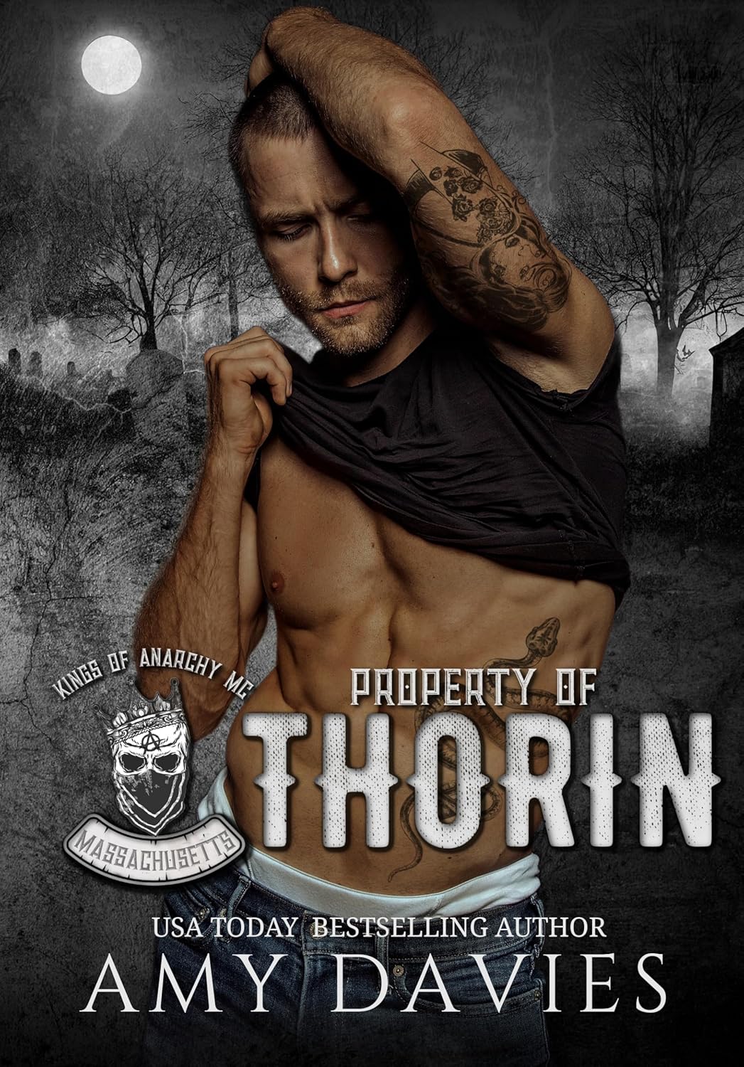 Property of Thorin book cover