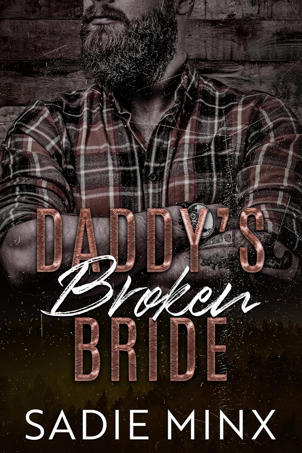 Daddy's Broken Bride book cover
