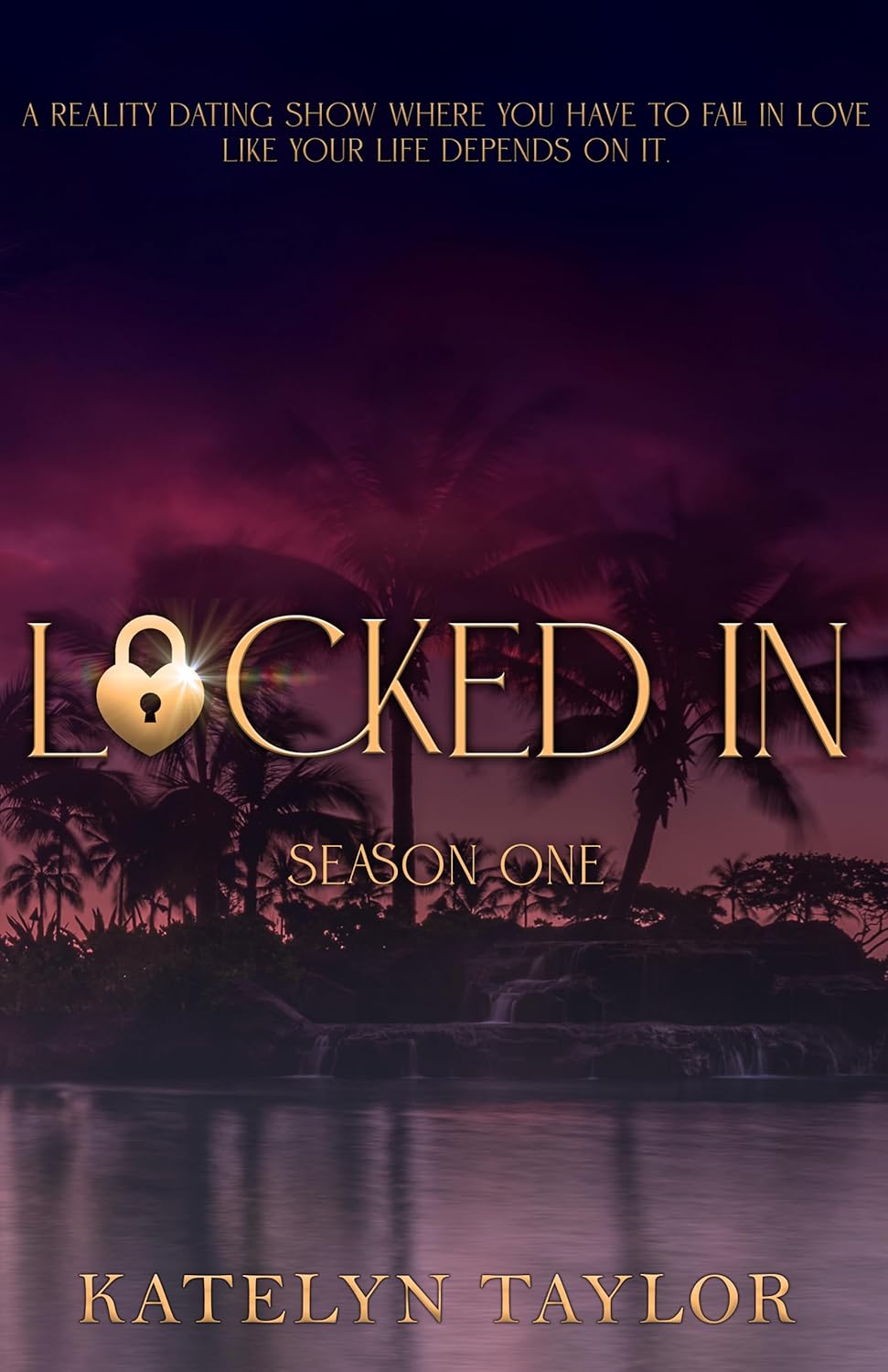 Locked In book cover