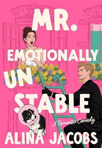Mr. Emotionally Unstable book cover