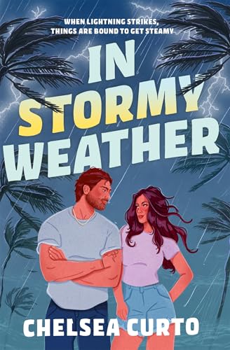 In stormy weather book cover