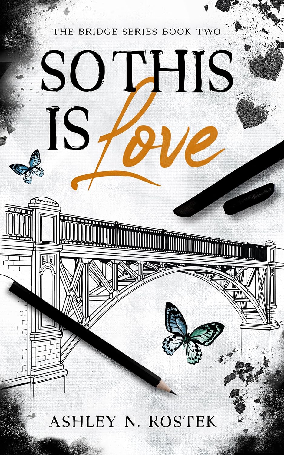 The Bridge book cover 2