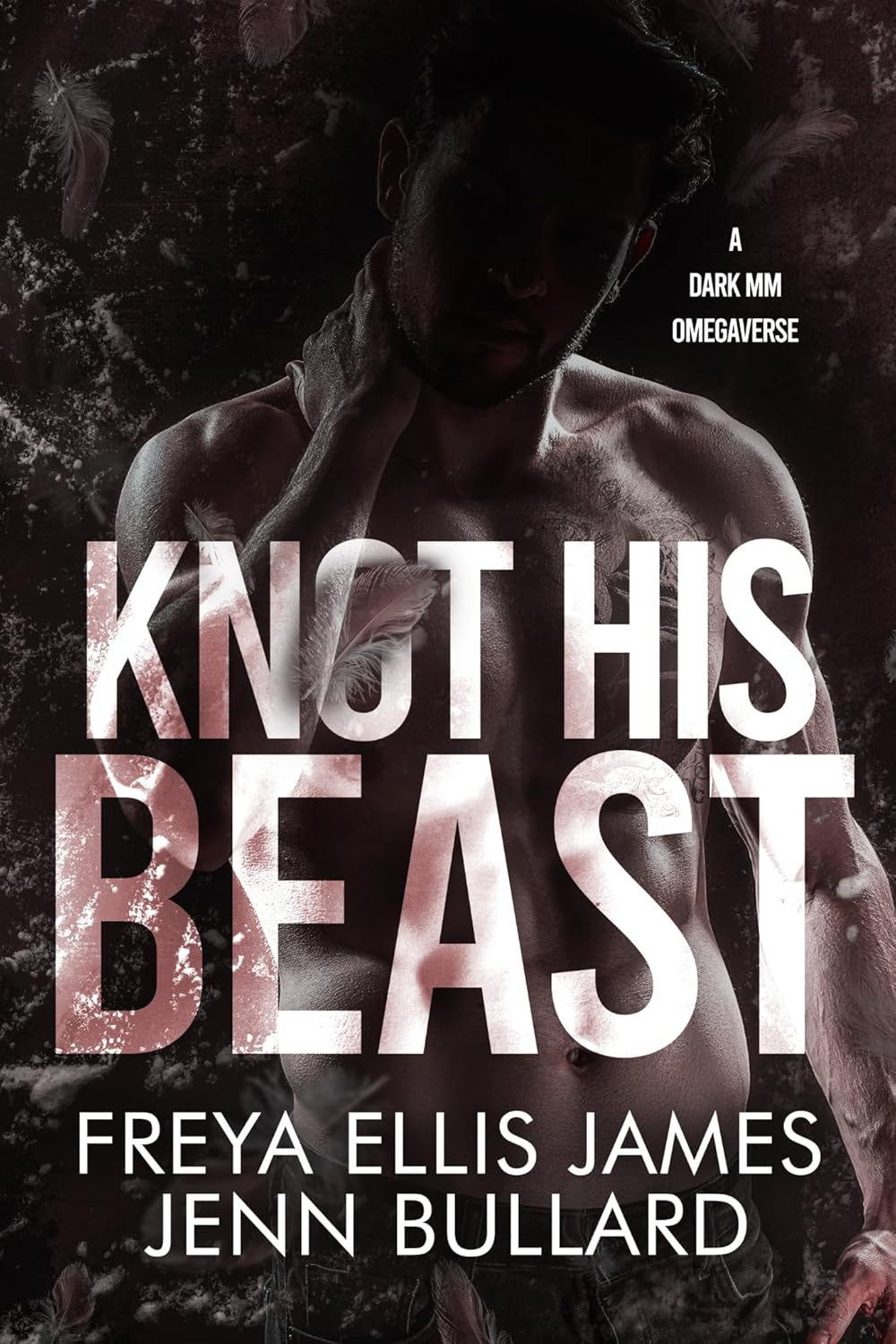 Knot His Beast book cover