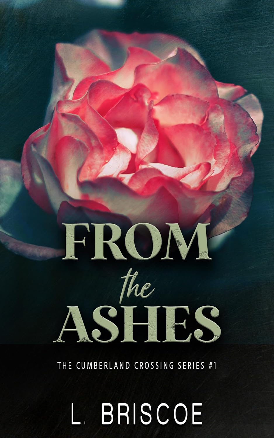 From the Ashes book cover