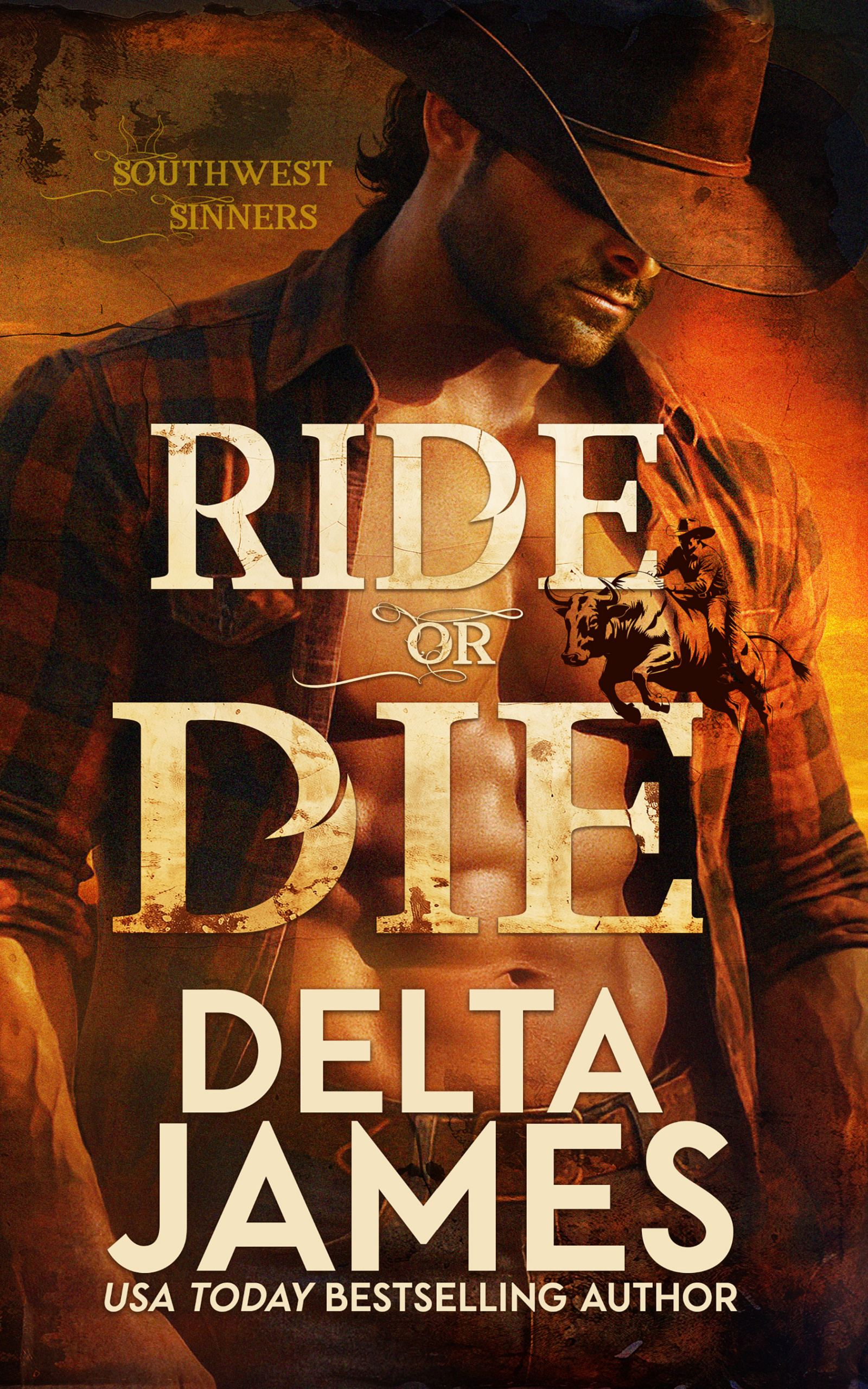 Ride or Die book cover