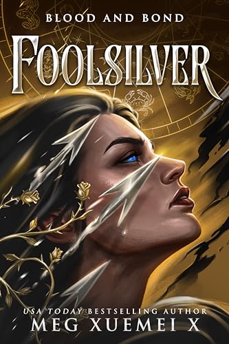 FoolSilver book cover