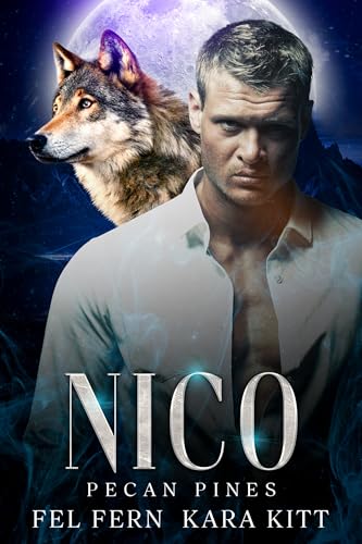 Nico book cover