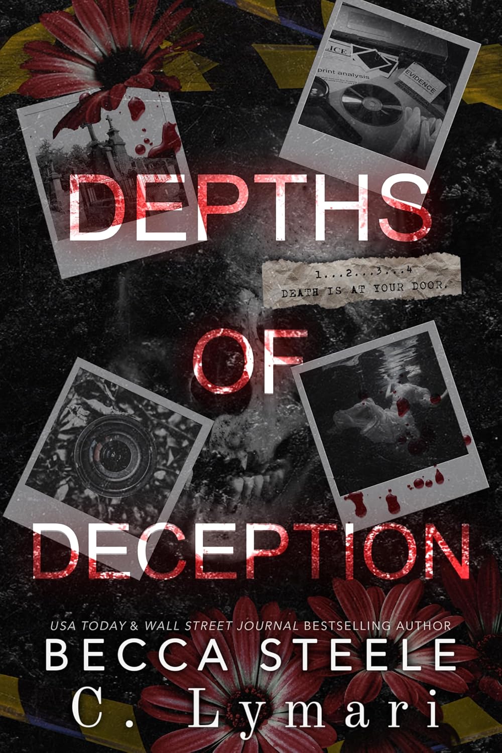 Depths of Deception book cover