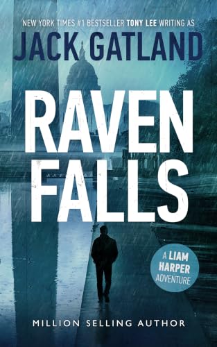 Raven Falls book cover