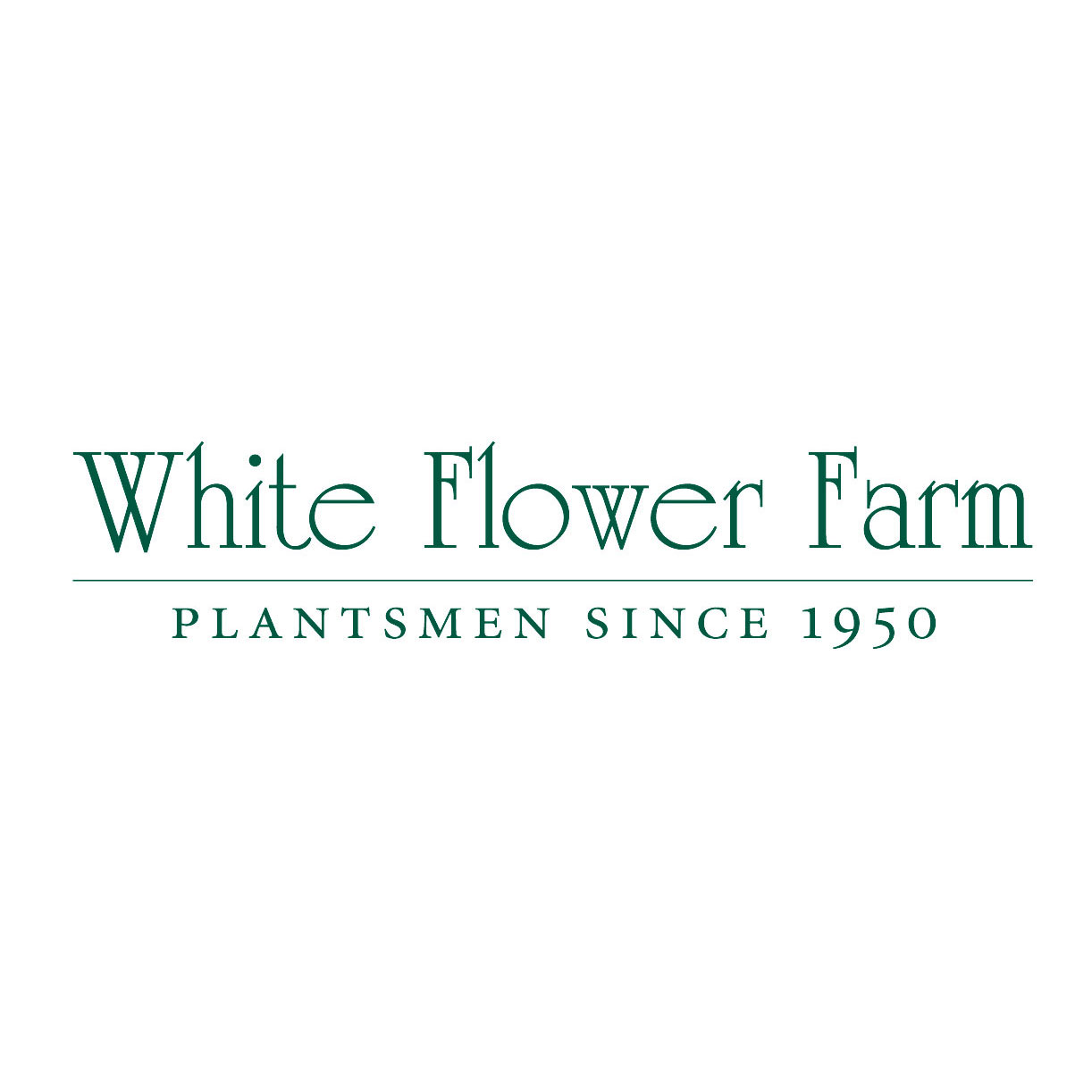WHITE FLOWER FARM