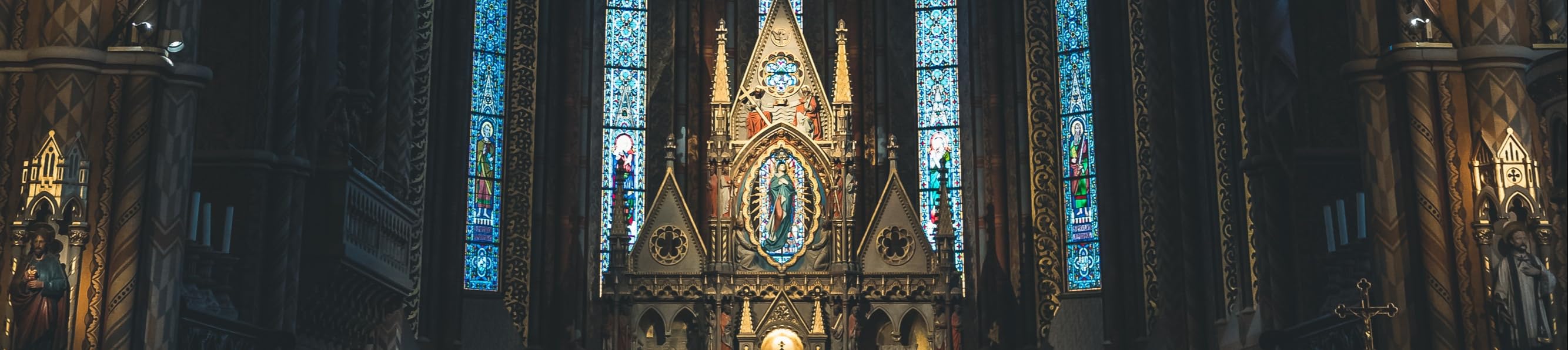 Bombcelly's Amazon Page