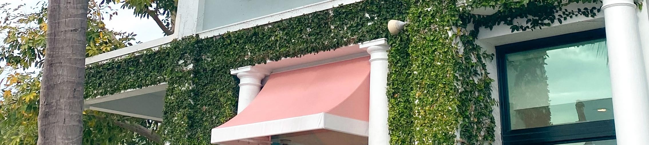 Caroline Hudson's Amazon Page