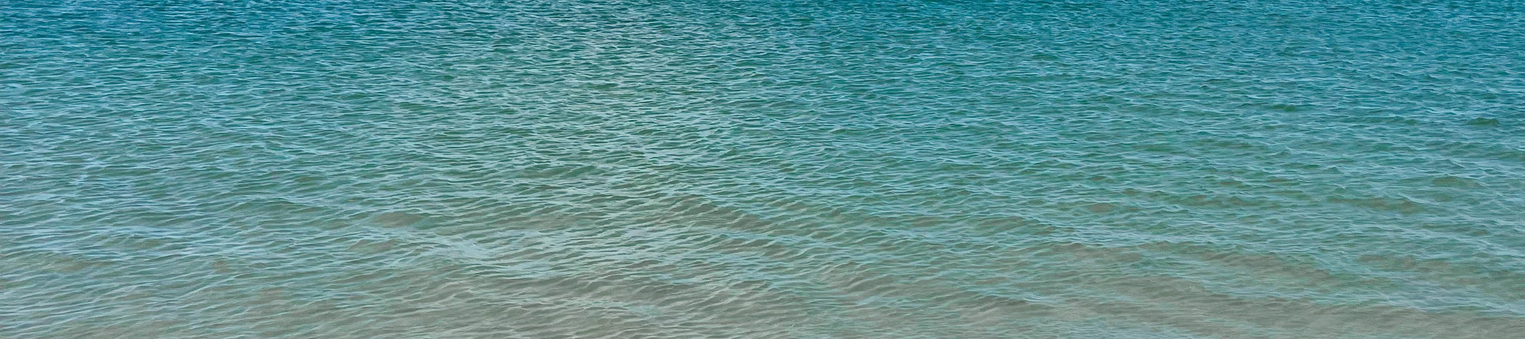 GRACE TAYLOR's Amazon Page