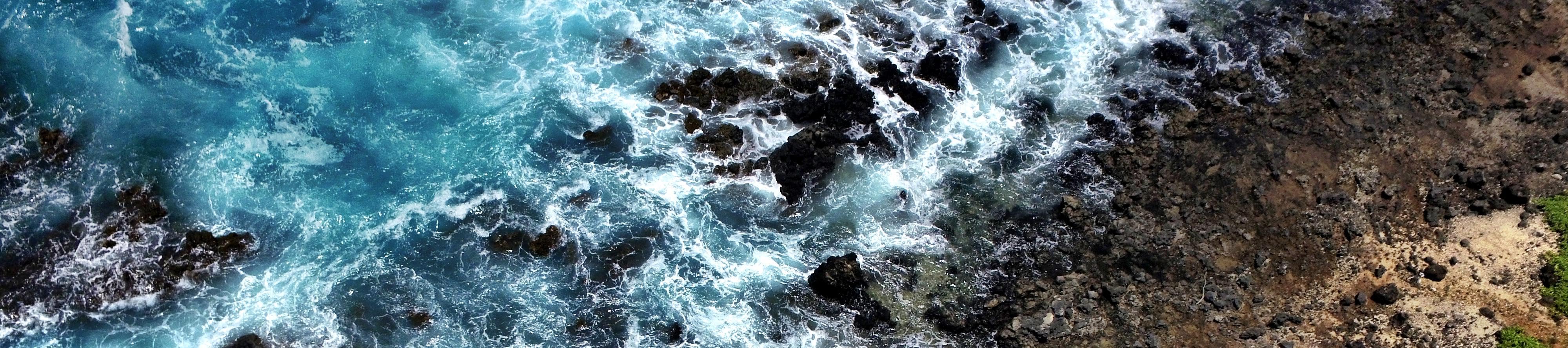 Amazon Hawaii's Amazon Page