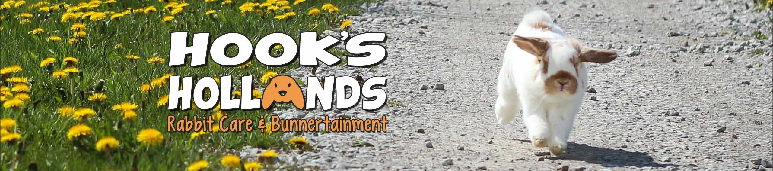 Hook's Hollands's Amazon Page