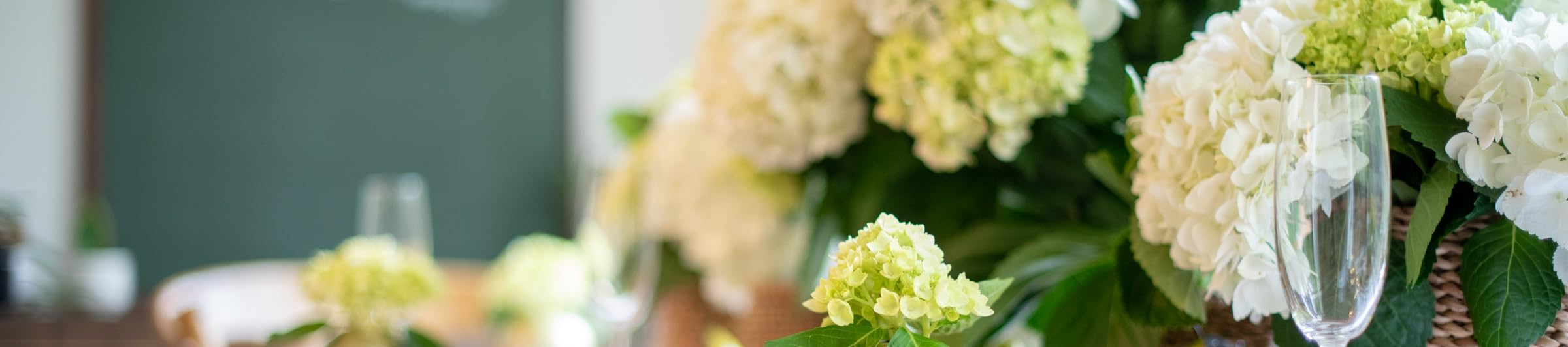 House of Margo's Amazon Page