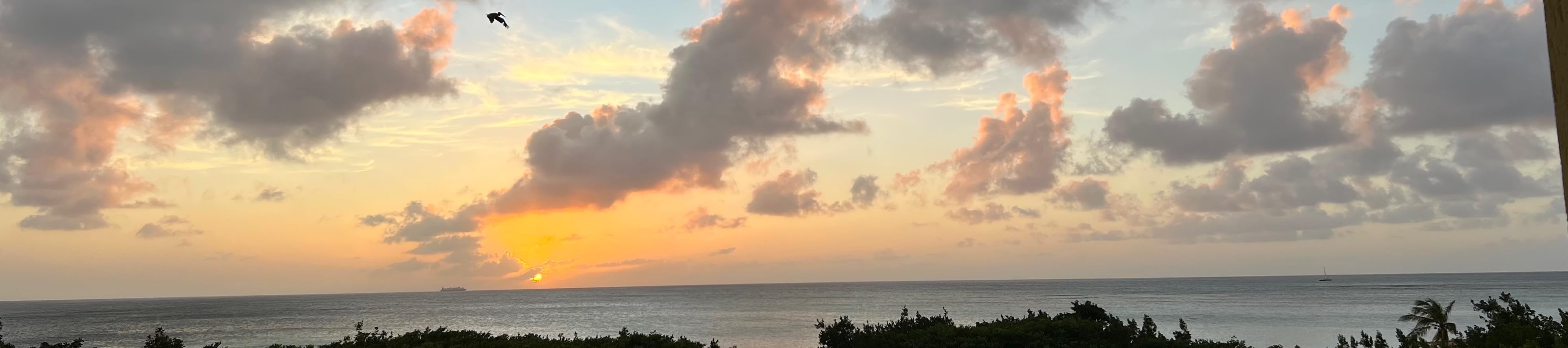 Emma’s storefront's Amazon Page