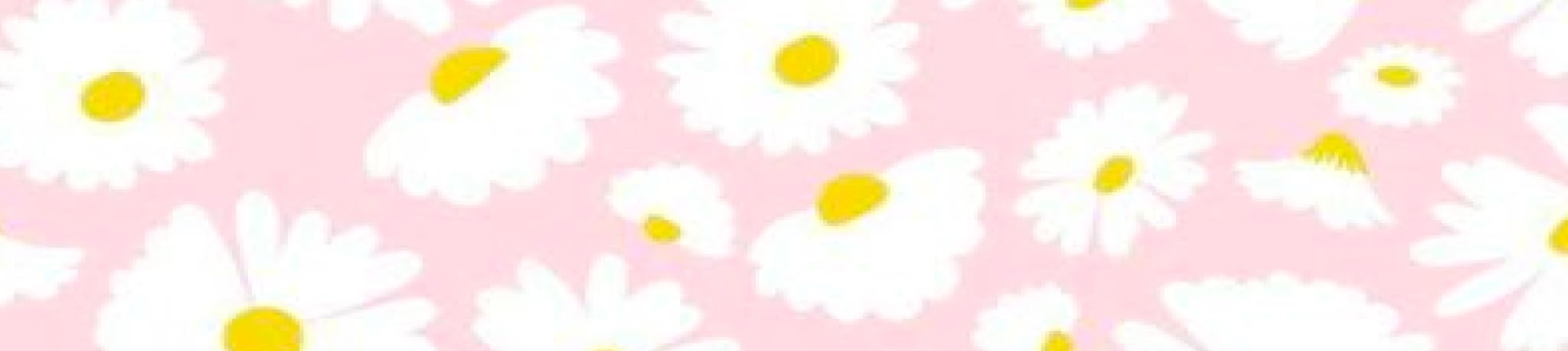 Aileen Rascon's Amazon Page