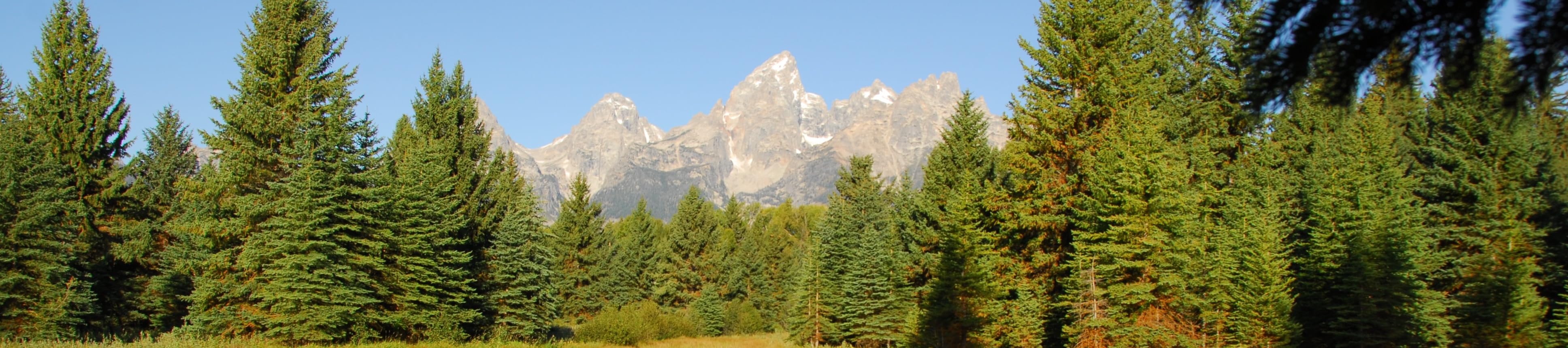 Airstream Nuts and Bolts's Amazon Page