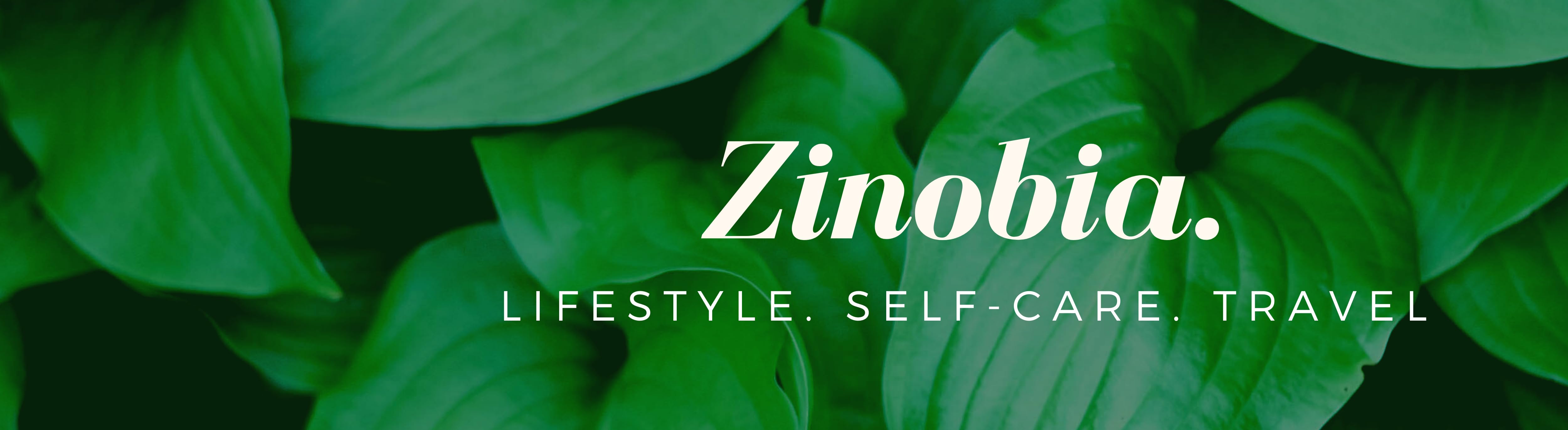 Zinobia's Amazon Page