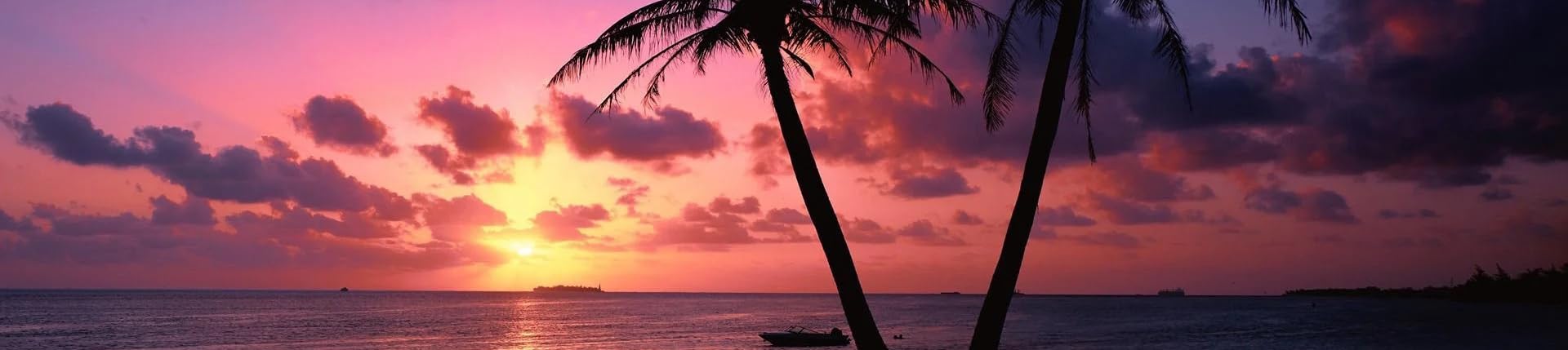 Kelsey Soles's Amazon Page