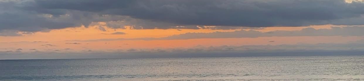 Madi Rook's Amazon Page