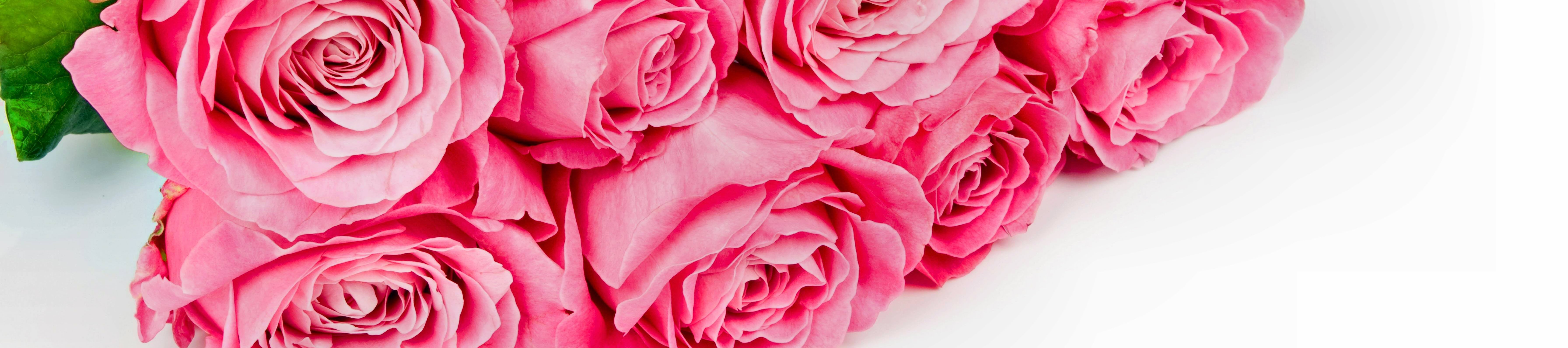 Felicia Marie's Amazon Page