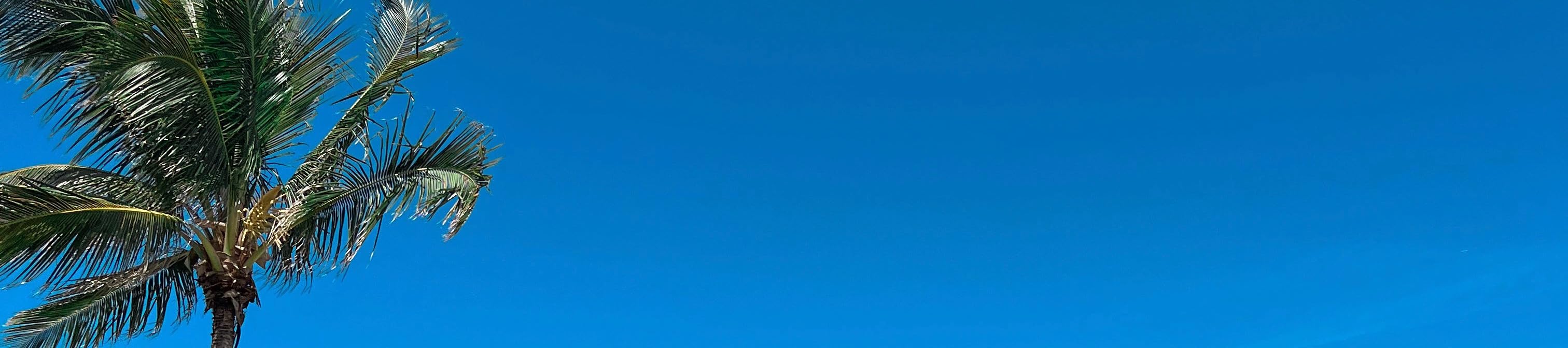 Natalie Chauvin's Amazon Page