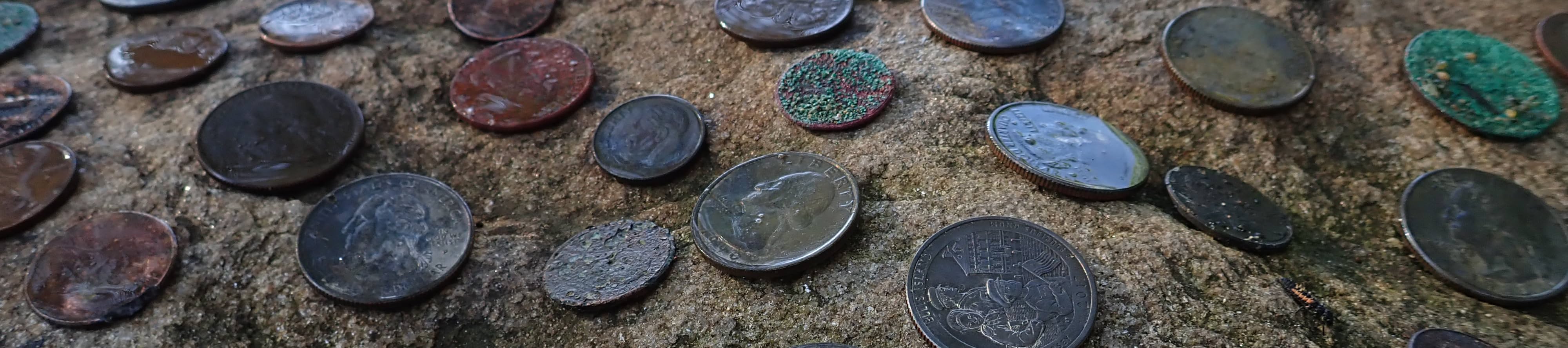 Nugget Noggin's Amazon Page