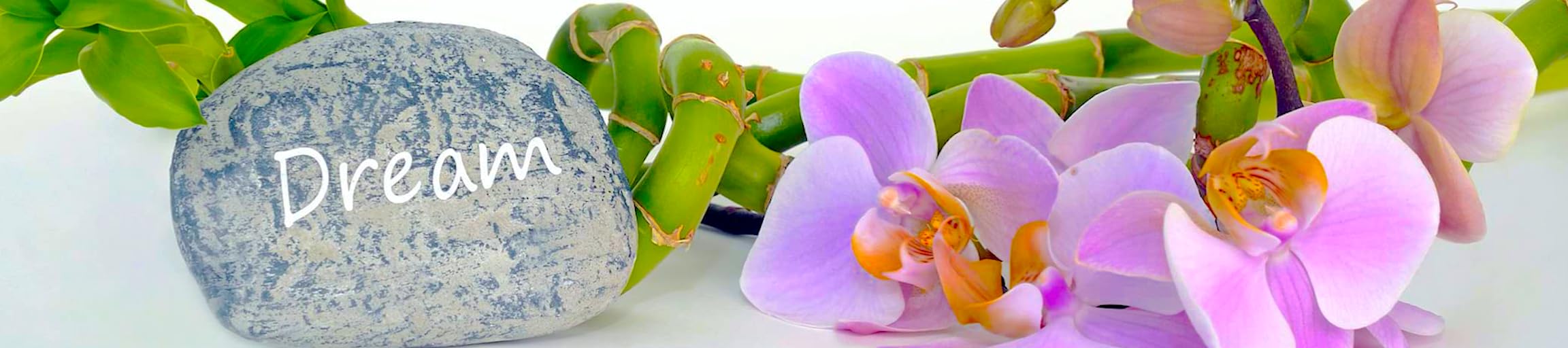 Twilight Asmr S Amazon Page Twilight Asmr S Amazon Page